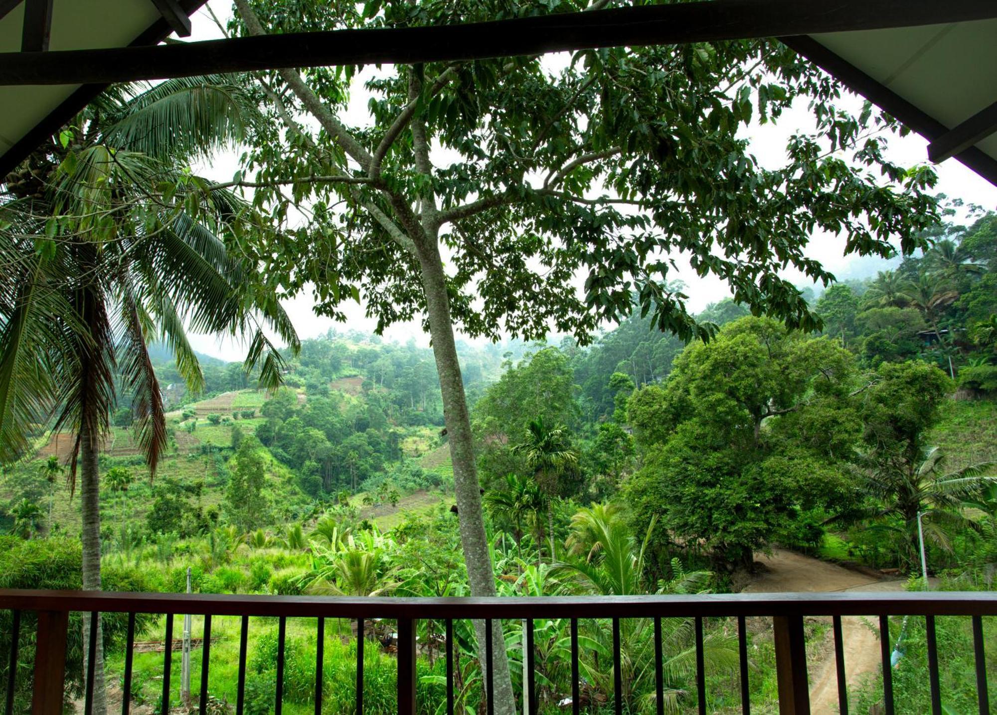 Bed and Breakfast Ella Blue Heaven Esterno foto