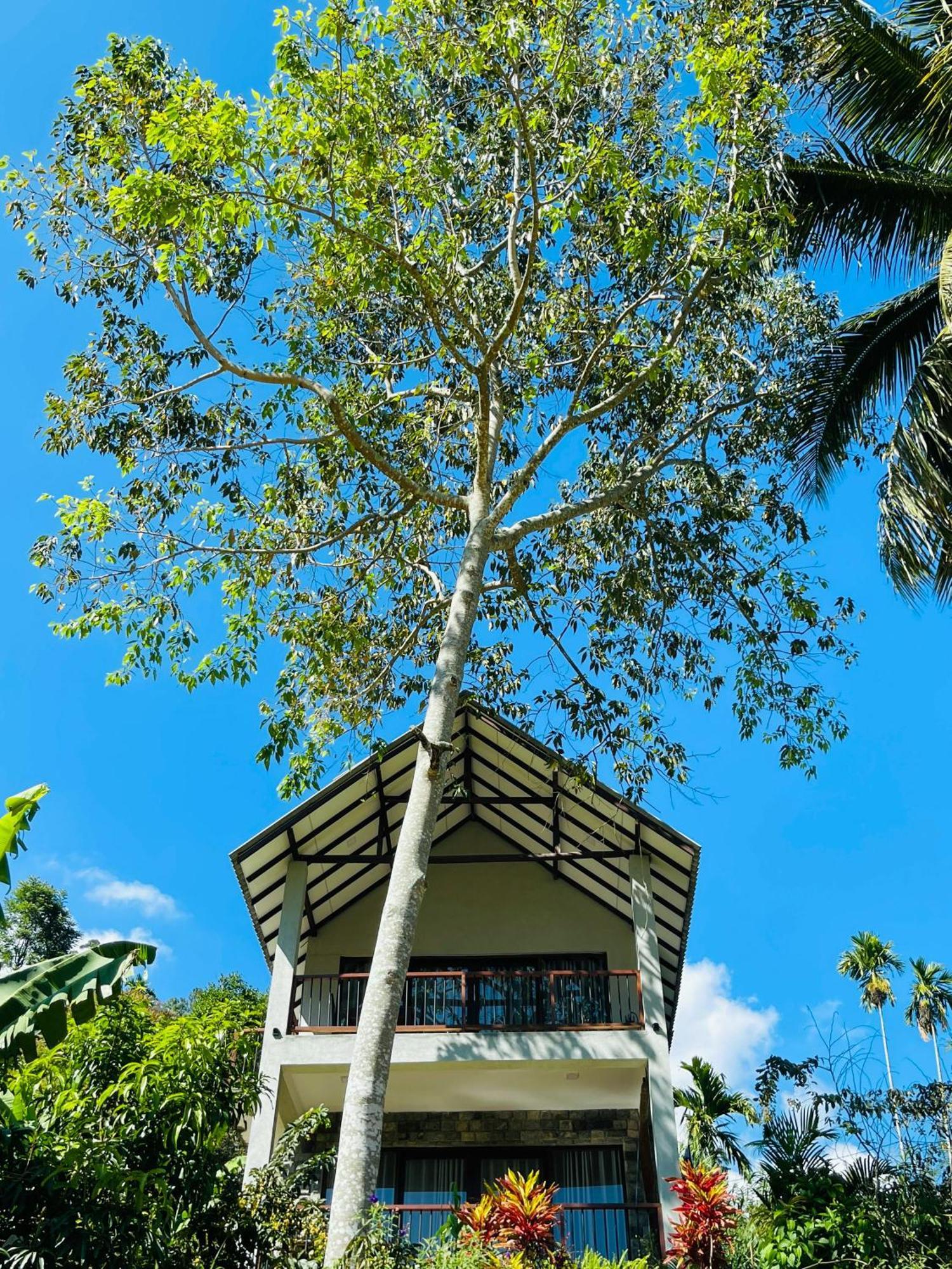 Bed and Breakfast Ella Blue Heaven Esterno foto